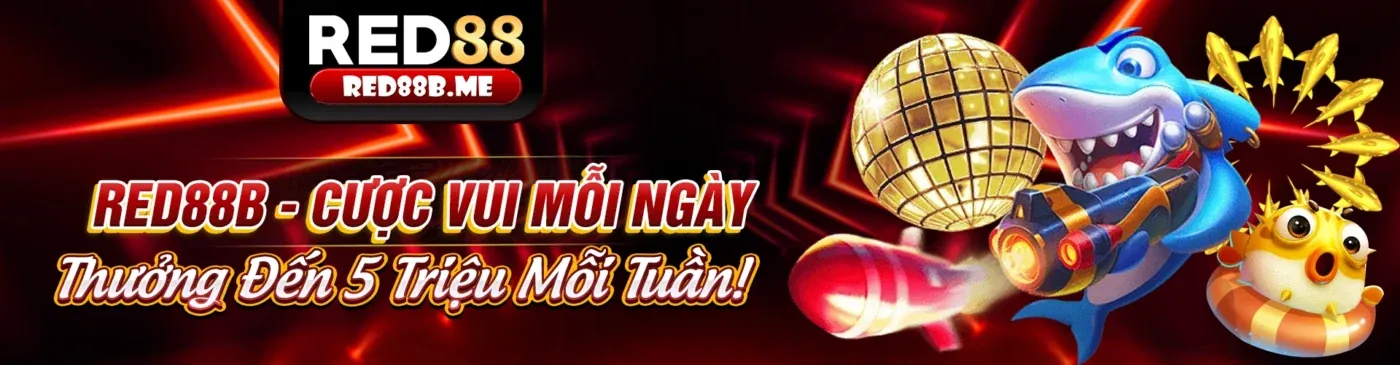 Chương trình Đại lý King88vina