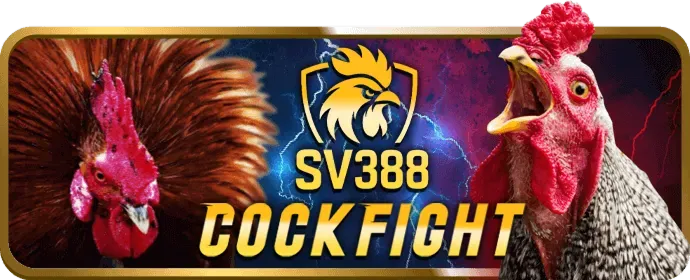 Hướng Dẫn Đặt Cược Thể Thao King88vina